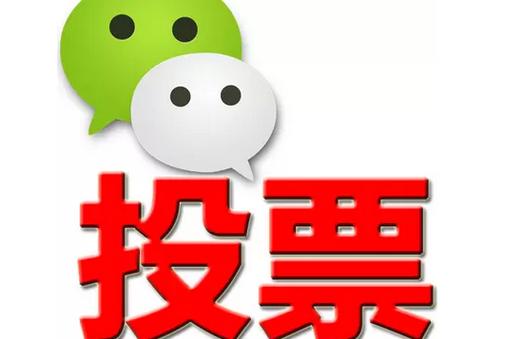 路环岛微信投票功能开发 上传图片投票